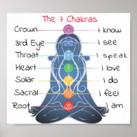 Los 7 chakras 8x7"
