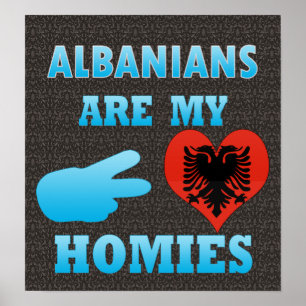 Póster Los albaneses son mis hogares