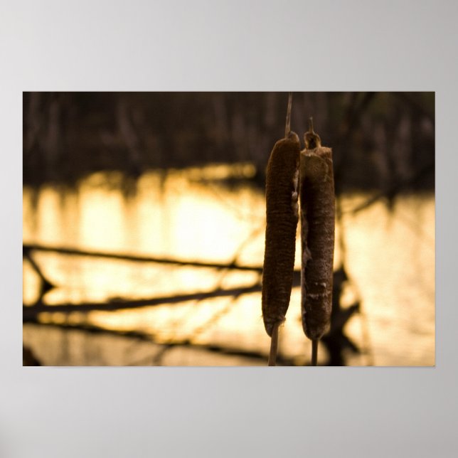 Póster Los amantes (Frente)