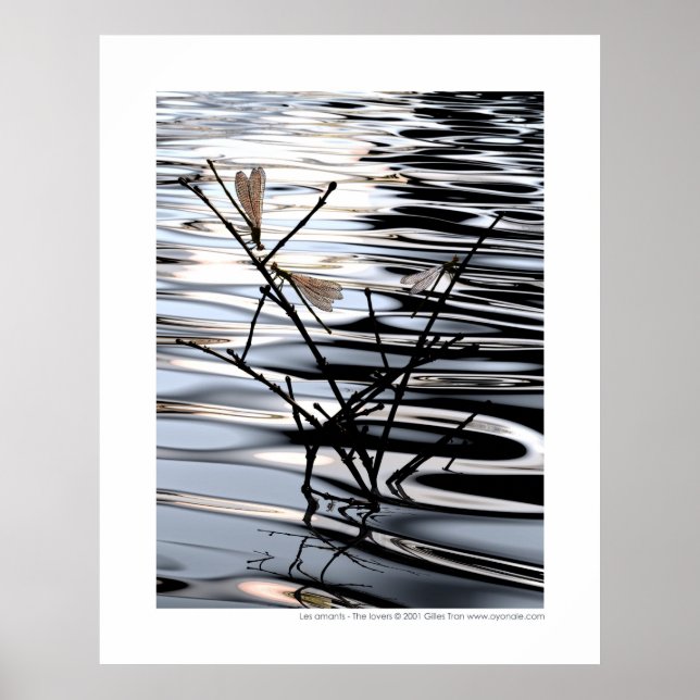 Póster Los amantes de Les Amants (Frente)