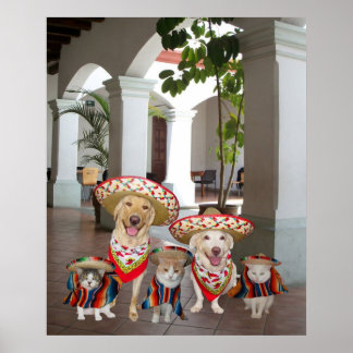 Póster Los amigos