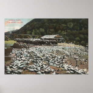 Póster Los Ángeles, CaliforniaView de una granja de palom
