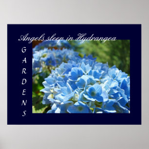 Póster Los ángeles duermen en jardines de hortensias esta