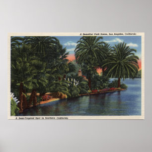 Póster Los Ángeles, escena hermosa del parque de