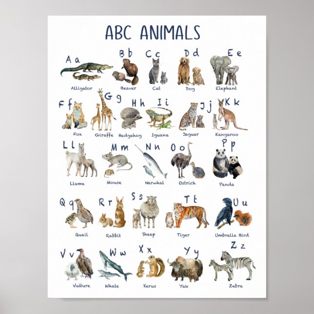 Póster Los animales de los alfabetos vuelven a la escuela (Frente)