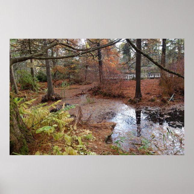Póster los árboles de otoño y el escenario de las plantas (Frente)