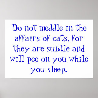 Póster Los asuntos de los gatos