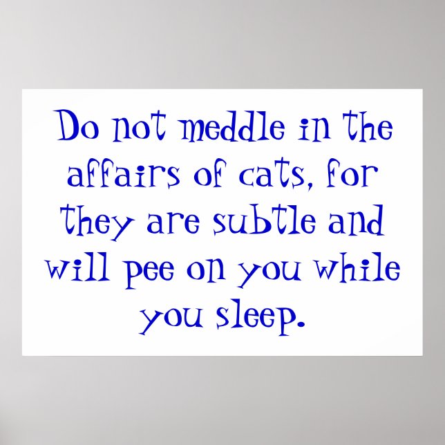 Póster Los asuntos de los gatos (Frente)