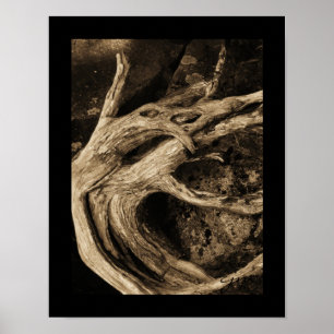 Póster Los bailarines