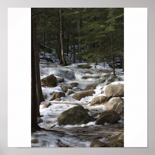 Póster Los baños de Diana (Frente)