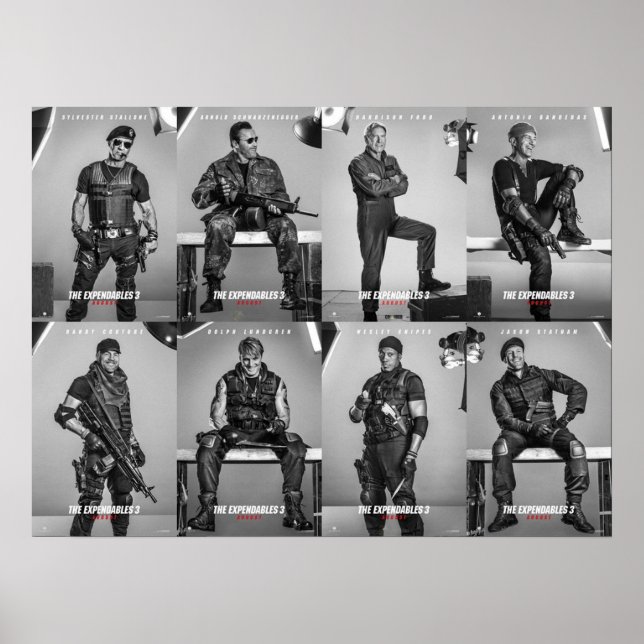 Póster Los bienes fungibles (Frente)