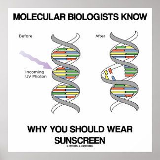 Póster Los biólogos moleculares saben por qué se usa prot