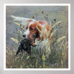 Póster Los Brittany Spaniels , Temporada de Caza de Aves