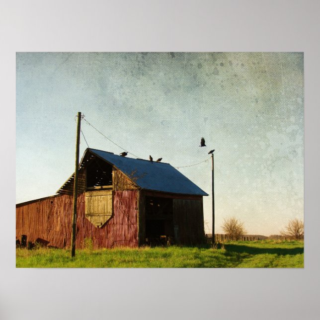 Póster Los buitres y el granero (Frente)