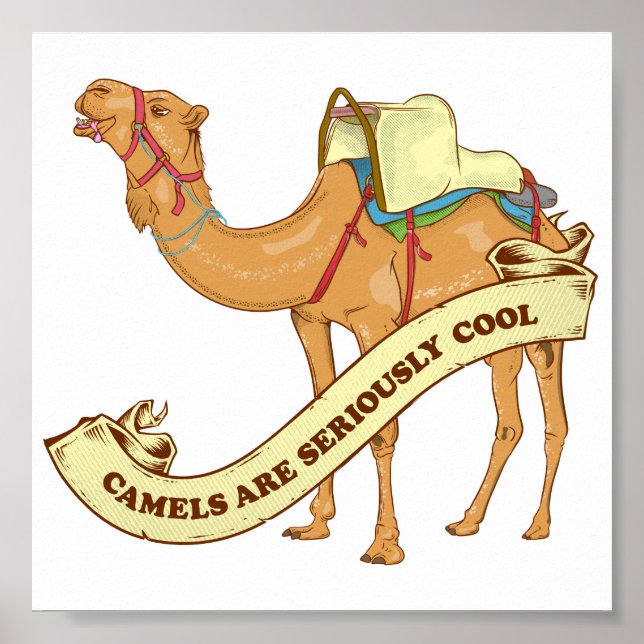 Póster Los camellos son geniales (Frente)