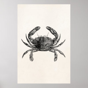 Póster Los cangrejos de la antigüedad del cangrejo del
