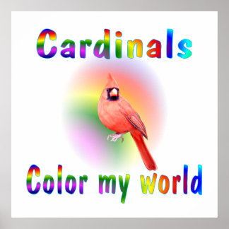 Póster Los cardenales colorean mi mundo