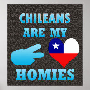 Póster Los chilenos son mis hogares