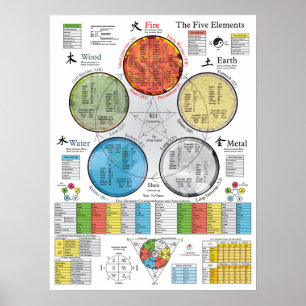 Póster Los cinco elementos del Poster de acupuntura 18" X