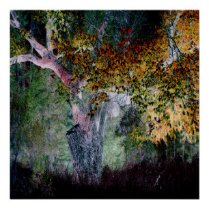 Póster Los colores de otoño......