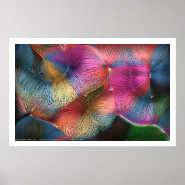 Póster Los Colores En El Pelo (Frente)