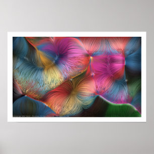 Póster Los colores en pelo