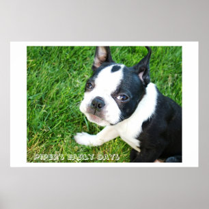 Póster Los comienzos del gaitero