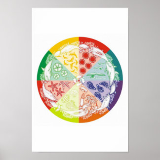 Póster Los delfines entregan