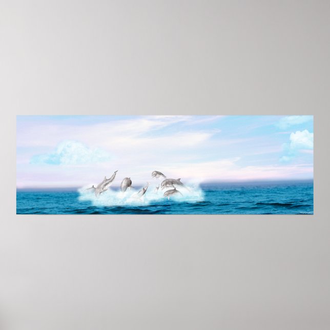 Póster Los delfines saltantes (Frente)