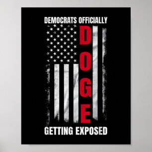 Póster Los demócratas de Doge quedan oficialmente expuest