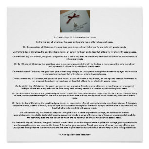 Póster Los doce días de las necesidades especiales del