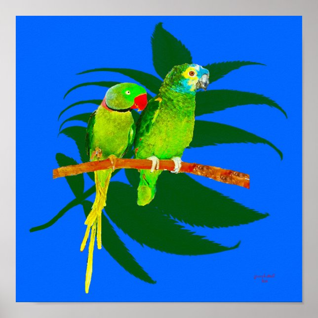 Póster Los dos loros (Frente)