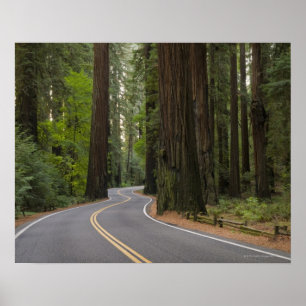 Póster Los E.E.U.U., California, camino a través del