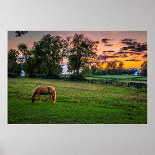 Póster Los E.E.U.U., Lexington, Kentucky. Caballo
