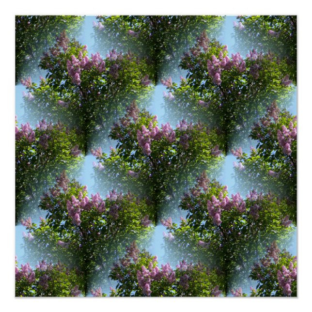 Póster Los encantadores Lilacs... (Anverso)