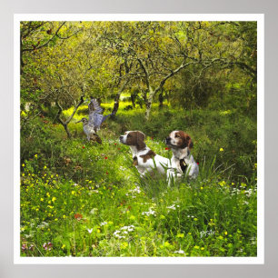 Póster Los españoles de Bretaña, temporada de caza de ave