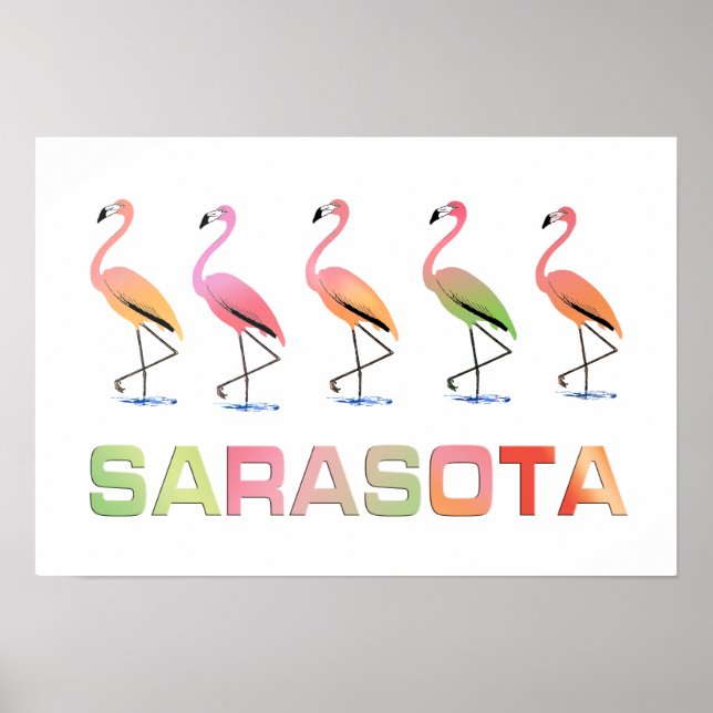 Póster Los flamencos de marcha Sarasota (Frente)