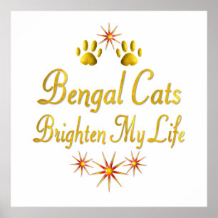 Póster Los gatos de Bengala aclaran mi vida