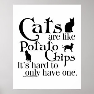 Póster Los gatos son como papas fritas...