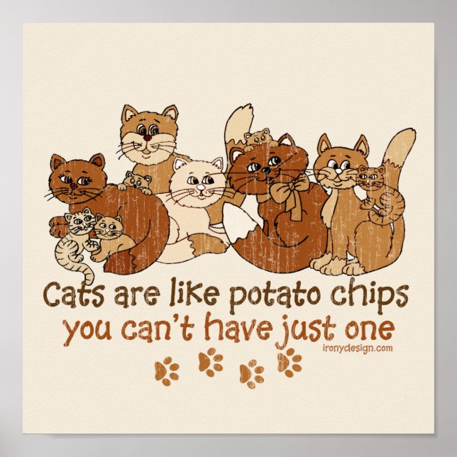 Póster Los gatos son como papas fritas (Frente)