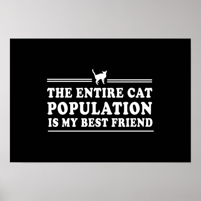 Póster Los gatos son mi mejor amigo (Frente)