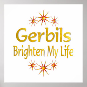 Póster Los Gerbils aclaran mi vida