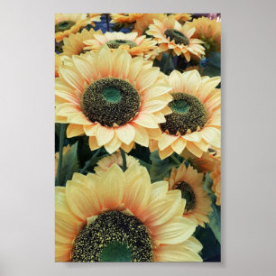 Póster Los girasoles amarillos me hacen feliz