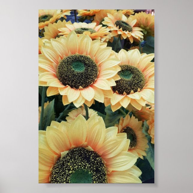 Póster Los girasoles amarillos me hacen feliz (Frente)