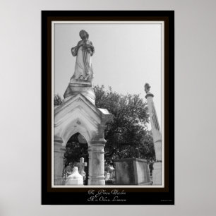 Póster Los gloriosos observadores