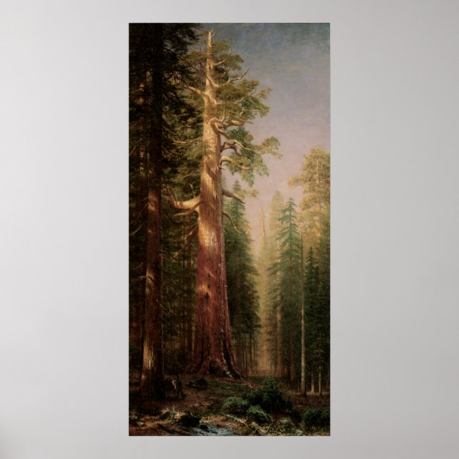 Póster Los grandes árboles, Mariposa Grove, CA de Biersta (Frente)