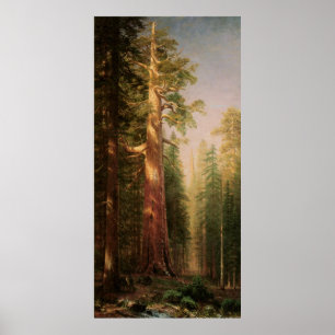 Póster Los grandes árboles, por Albert Bierstadt