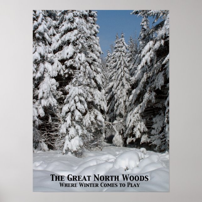 Póster Los grandes bosques del norte; donde el invierno l (Frente)