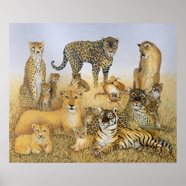 Póster Los grandes gatos (Frente)