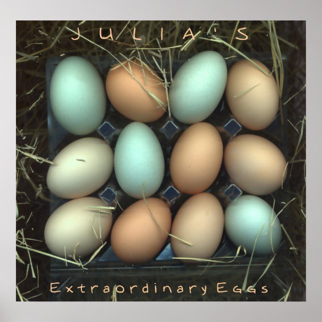 Póster Los huevos extraordinarios de Julia (Frente)